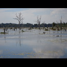 Ein Teil des den Tempelbezirk Neak Pean umgebenden Wasserbeckens
